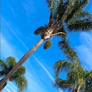 Meet your Posher, Alexander